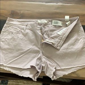 Torrid denim shorts NWT